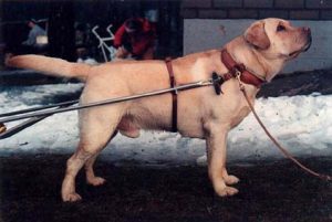 Read more about the article FIN JVA MARIKARIN AADOLF